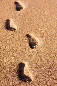 email_vendor_selection_steps