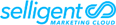 Selligent Marketing Cloud email marketing software