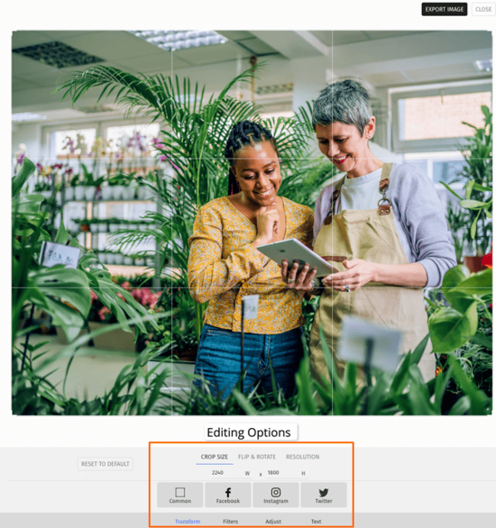 Brevo email marketing software image editor