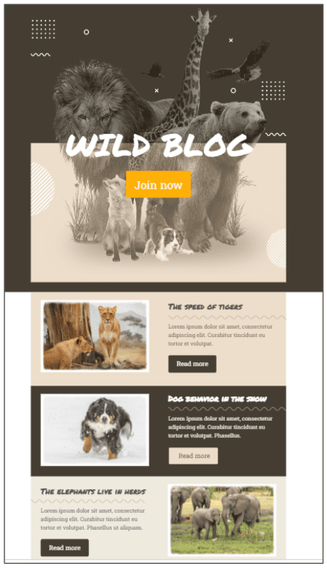 free Mailchimp template for newsletters