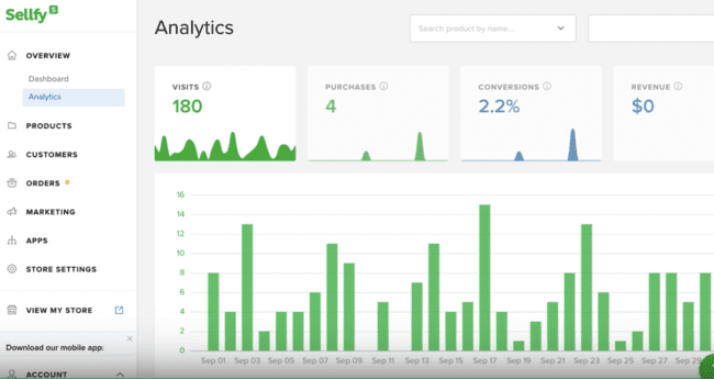Sellfy analytics