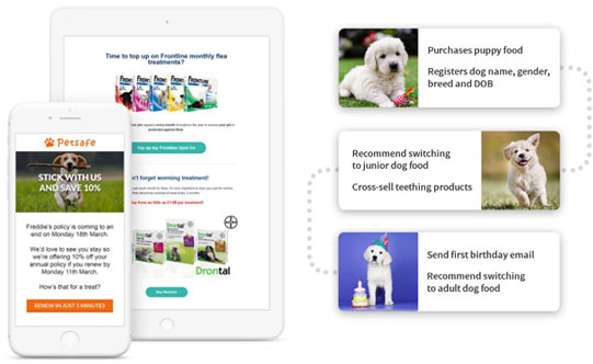 ecommerce replenishment petsafe example