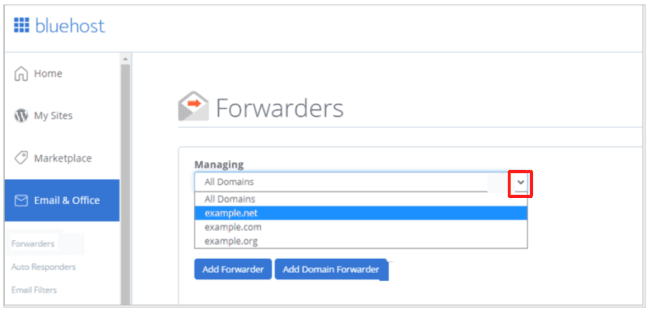 managing domain forwarders in Bluehost web hosting account