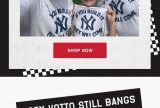 Quagrowth Email Agency Browse Abandonment Email Campaign Example