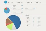 Client Report