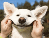 Put customer support first when choosing the right ESP