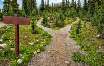 Faux-facts and emotional shortcuts;  how to ruin an email marketing RFP without even knowing it