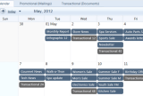 Calendar view