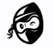 MailNinja logo email marketing software