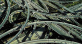 The 4 vitals needed for marketing automation infrastructure