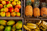 Email segmentation tools and tactics – what do they really look like?