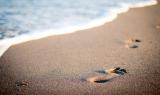 4 steps to choose the right email marketing software