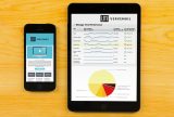 VerveMail Reporting