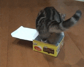 when-it-fits-i-sits